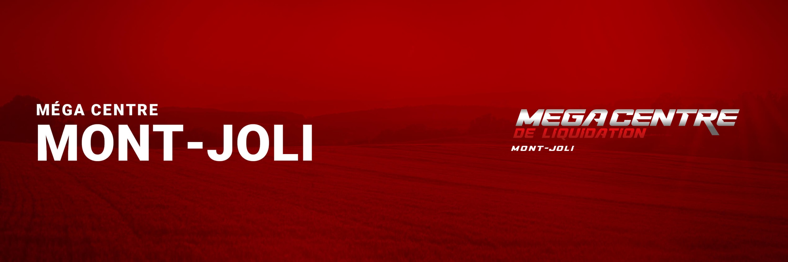 Image de bannière de véhicule d'occasion